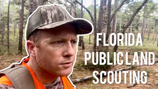 SCOUTING WMA FOR DEER SEASON 🦌deerhunting publiclandhunting deerseason hunting floridahunting [upl. by Assirem]