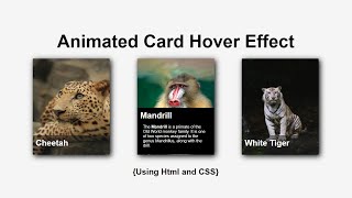 Animated Card Hover Effect  Html amp CSS  CodeEra [upl. by Kery667]