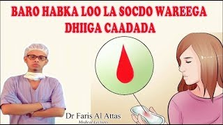 BARO HABKA LOO LA SOCDO WAREEGA DHIIGA CAADADA Dr faris [upl. by Namrej]