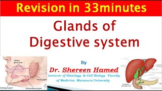 2021 revision of glands of digestive system [upl. by Ahseinat764]