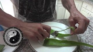 Benefits of eating an Aloe Vera plant and how to [upl. by Esinaj223]