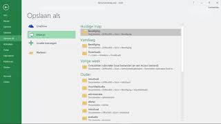 MS Office 365  Excel Beveiliging  Een werkmap beveiligen [upl. by Gnemgnok]