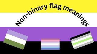 nonbinary flag meanings [upl. by Aicek]