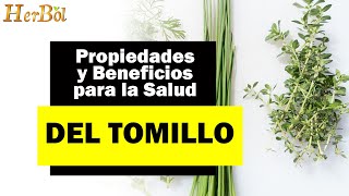 TOMILLO 10 Propiedades y Beneficios para tu Salud ─ Naturismo Herbol [upl. by Lyrred]