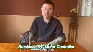 b2p 24v 120a bldc motor controller for electric vehicle bldc speed controller [upl. by Mcarthur958]