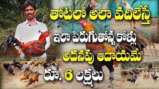 👉👉 తోట ఉంటే లక్షలు వచ్చే Idea 💡 ఇది  Natukolla Pempakam  Satyanarayana [upl. by Catherin]