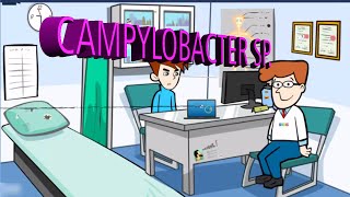 Microbiología Campylobacter jejuni [upl. by Atiekan]