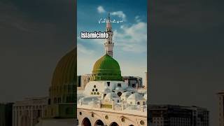 islamicvideo duet ilovemyprophetmuhammadsaw nature utubeshorts [upl. by Arimat]