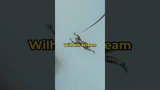 Where Did the Wilhelm Scream Come From starwars film [upl. by Hsepid]