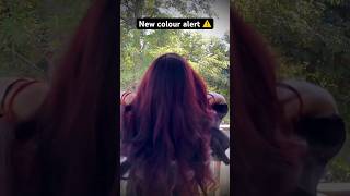 New color alert ⚠️ trending hair colour  igora royal hair color youtubeshorts viralvideo [upl. by Amitaf312]