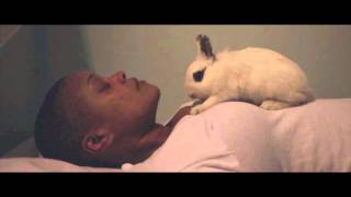 RabbitShort Film 2014 Part 2 [upl. by Asereht]