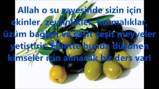 Kuranda Zeytin Geçen Ayetler [upl. by Linea]