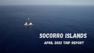 Diving Socorro on the Nautilus Explorer in 2022 4K [upl. by Anawal]