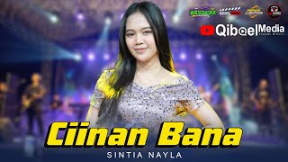 CIINAN BANA FAUZANA Voc Sintia Nayla BASSERA FEAT AM AUDIO LIVE KLATAAN DAYUREJO [upl. by Evreh930]