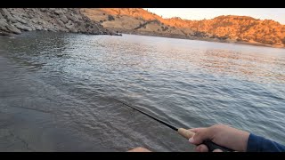 Millerton Lake Ca  Bass Fishing ˢᵏᵘⁿᵏ [upl. by Camroc46]