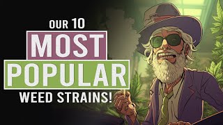 Our 10 Most Popular Cannabis Strains [upl. by Ettennad344]