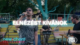 Punnany Massif x Budapest Park  Elnézést kívánok live session [upl. by Ahsercul]