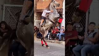 Caballo Reparando Acaba Mal🤔😱🇲🇽💯 caballos shorts caballosbailadores horse jaripeo rodeo [upl. by Ellennad]