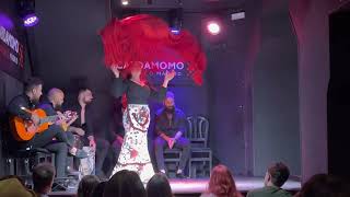 Cardamomo Flamenco Show Madrid [upl. by Utir]