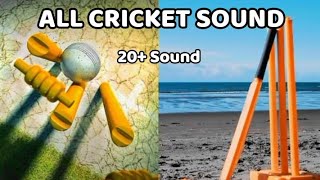 20 Sound For Editing  Cricket Bat sound effect  Cricket wicket sound [upl. by Eerbua141]