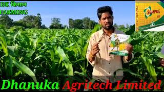 Dhanuka agritech सेम्प्रा  Halosulfuron Methyl 75 WG  सम्पूर्ण जानकारी [upl. by Guenevere]