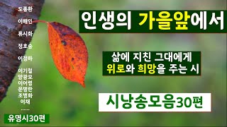 시낭송모음애송시모음삶과인생 위로와ㅣ희망의시30편 낭송봉경미음악손방원팬플룻인생의 가을앞에서 [upl. by Arsi]