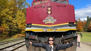 Agawa Canyon Tour Train [upl. by Nnaerb]