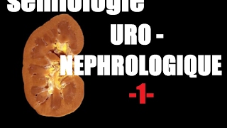 sémiologie uro nephrologique 1 [upl. by Pangaro697]