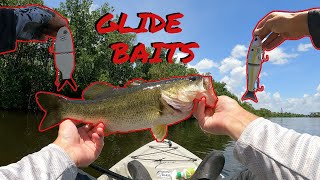 Bass Fishing With BIG Glide Baits [upl. by Omolhs]