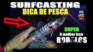 SURFCASTING O melhor isco Pescaria Robalo Portugal Pesca 2021 [upl. by Neltiac]