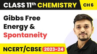 Class 11 Chemistry Chapter 6  Gibbs Free Energy amp Spontaneity  Thermodynamics Class 11 CBSENCERT [upl. by Ahsimal921]