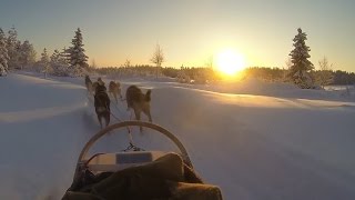 Lapland Ruka Kuusamo trip [upl. by Atiniv]