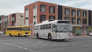 1977 Volvo B59 and 1990 PMC Hino School Bus [upl. by Gyasi48]