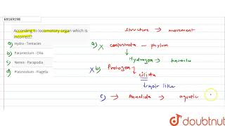 According to locomotory organ which is incorrect [upl. by Anemolihp170]