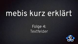 mebis kurz erklärt 4 Textfelder [upl. by Eberly]