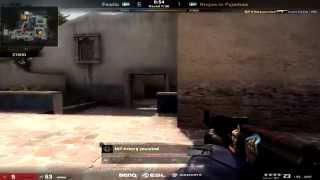 ESL One Cologne 2014 Grand Finals  Friberg Ace vs Fnatic [upl. by Vrablik]