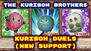 Yugioh  Kuriboh Brothers Duels Kuribabylon New Support Deck Download in Description [upl. by Oslec112]