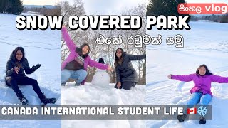 Chedoke park  Hamilton  Broke International Student Life  Canada  Sinhala vlog ❄️🇨🇦❤️ [upl. by Eart]