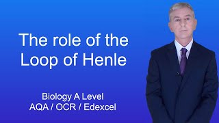 A Level Biology Revision Year 13 quotThe Role of the Loop of Henlequot [upl. by Almire]