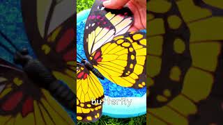 Learning Bugs for Toddlers  3 4 5 Year Old Learning Video  Bug Names Slug Spider Butterfly [upl. by Alded]