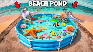 We Built a Tide Pool Saltwater Pond with Sea Creatures Found In Beach Rocks [upl. by Trace612]