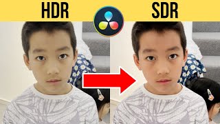 How to fix HDR clips greywashed out in Davinci Resolve iPhone HDR to SDR filter [upl. by Veator122]