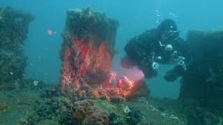 CROATIA DIVING HMS CORIOLANUS PART TWO [upl. by Laurene685]