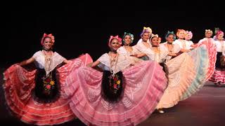 Jaquetón Aguanieve y Zapateado Ballet Folklorico de la Universidad Veracruzana [upl. by Beckie]