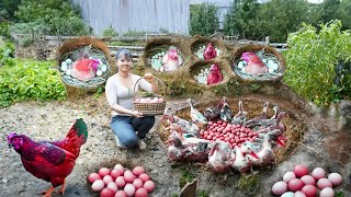 Build a Fence To Raise Geese After 120 Days Building Log Cabin Vegetable Garden [upl. by Ennaer651]