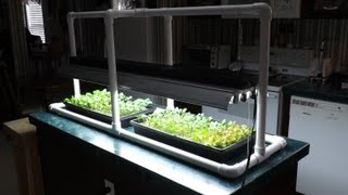 Hydroponic Seed Starting amp Simple PVC Grow Light Stand [upl. by Newhall367]