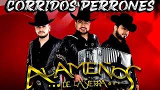 Los Alameños De La Sierra Mix 30 Corridos Pesados Coleccion 2024 [upl. by Gypsy]