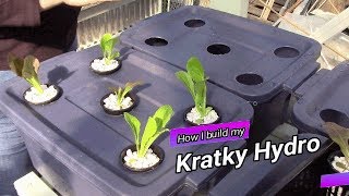 Kratky hydroponics Mini bins [upl. by Leacock]