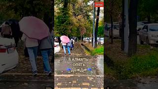 Настроение Дождь☔😁🎵 almaty folk folkmusic kobyz [upl. by Nylodnewg]