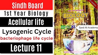 lysogenic cycle  acellular life  1st Year biology Sindh text book board new Book class 11 [upl. by Ahsenid]